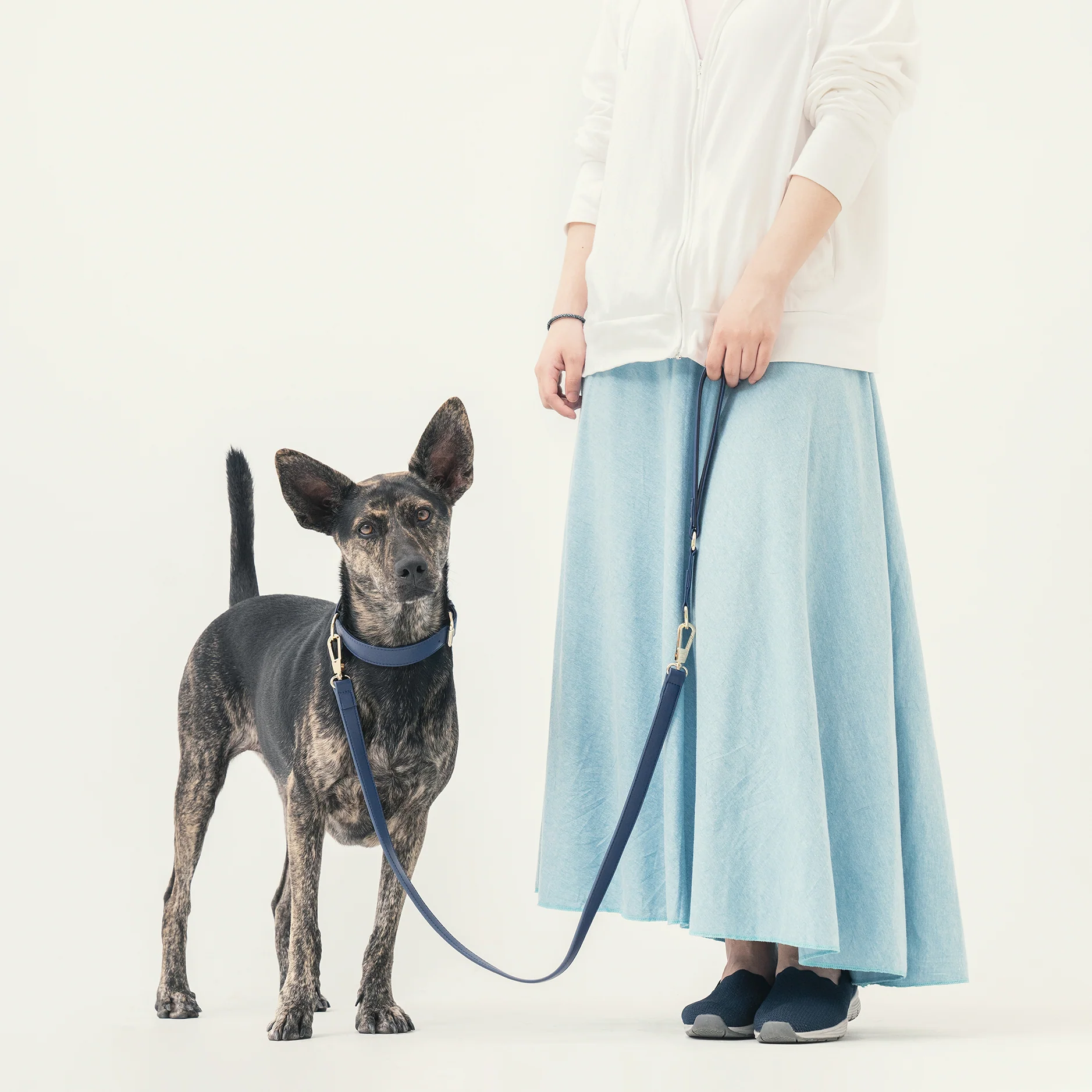 Classic Leash - Midnight Blue