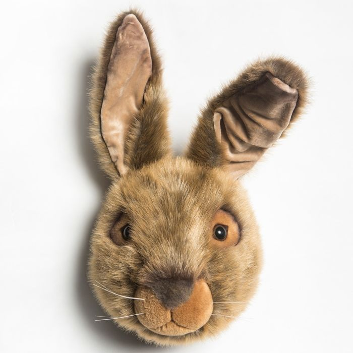 Dierenkop haas
