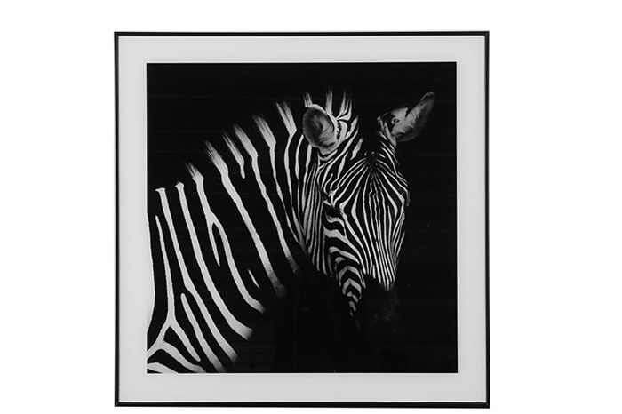Schilderij Zebra Wild Life