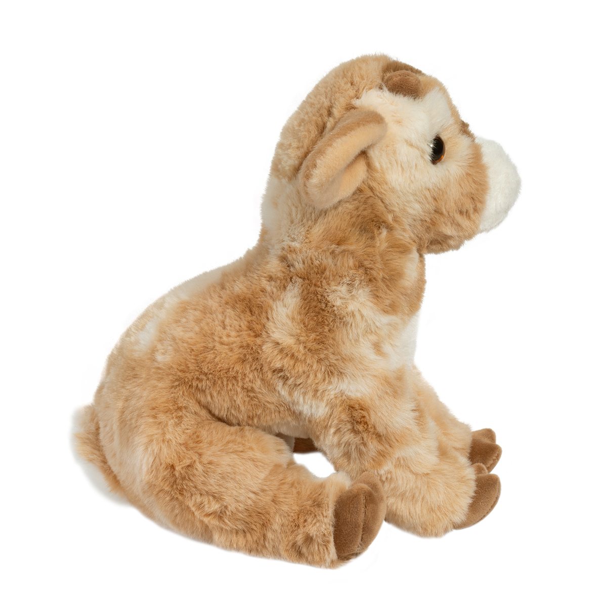 Dandie Soft Goat