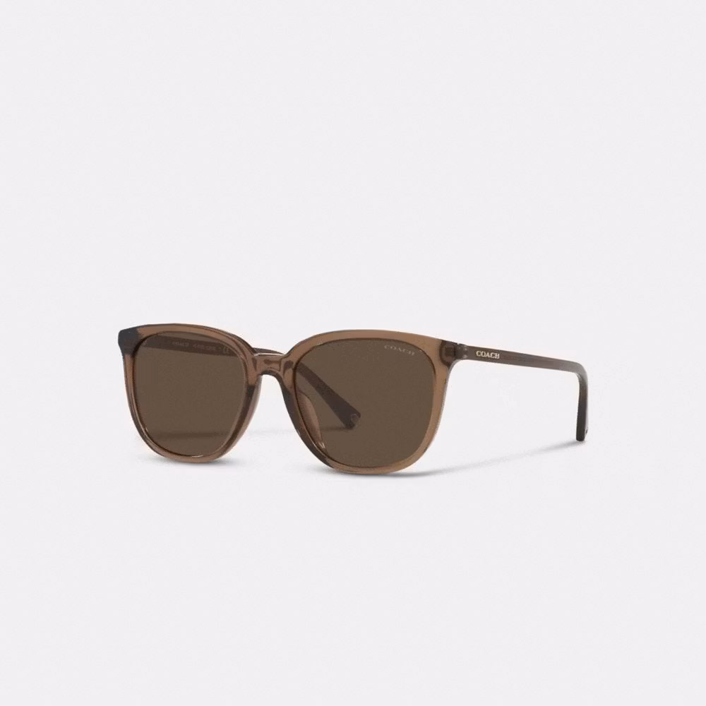 COACH Coach Fashion Sunglasses