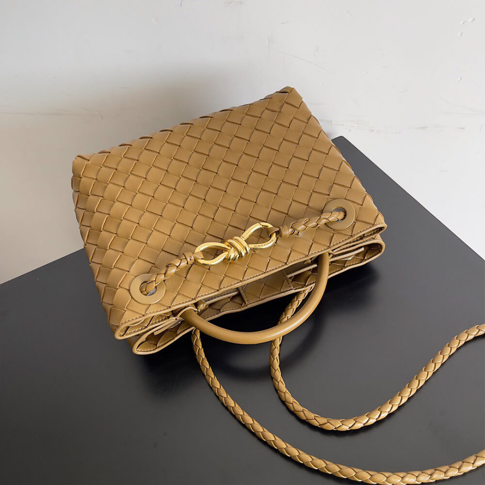 Bottega Veneta Small Andiamo - Top Club