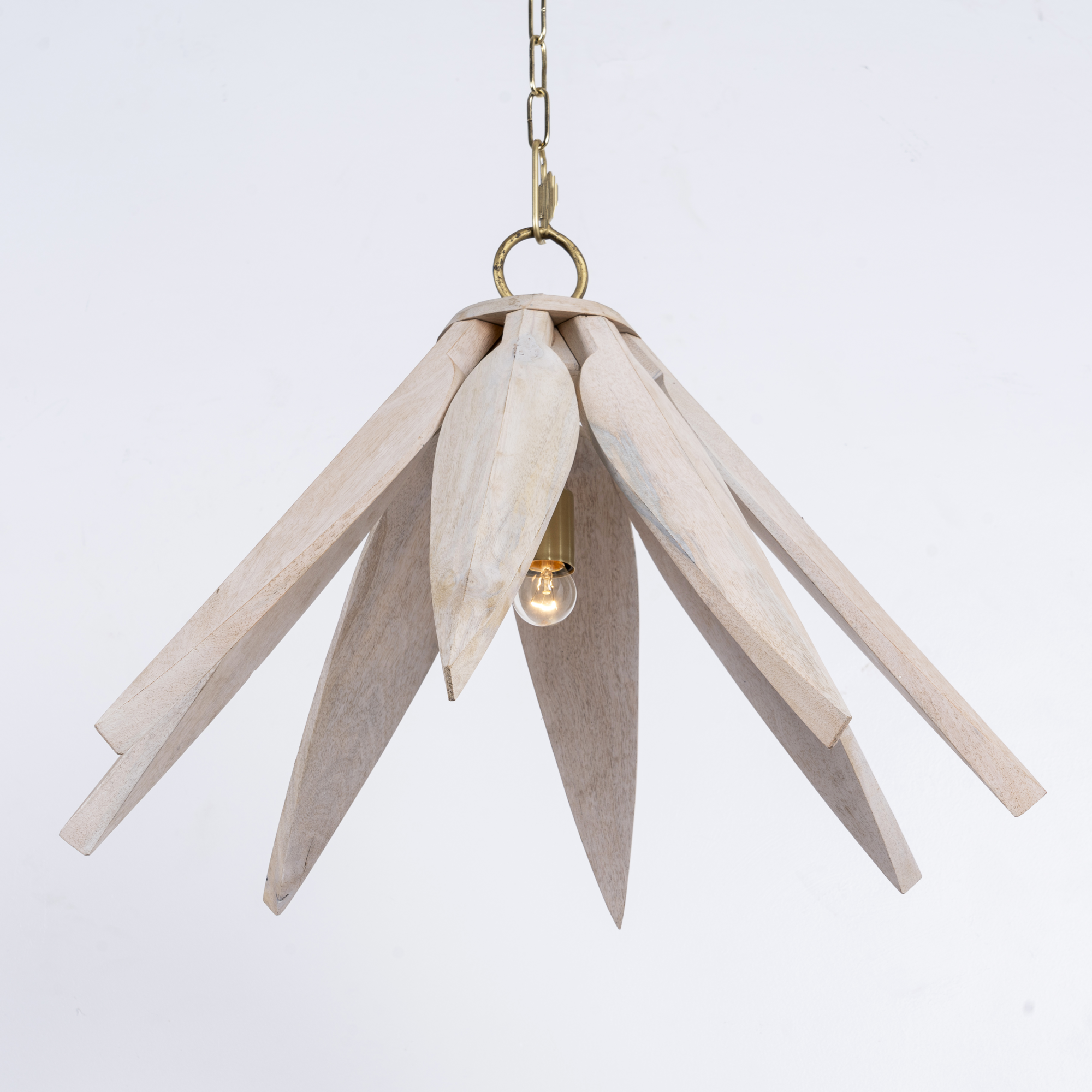 Hanglamp Bharani #1