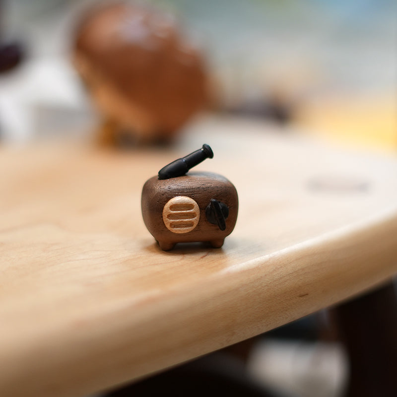 Radio refrigerator magnet