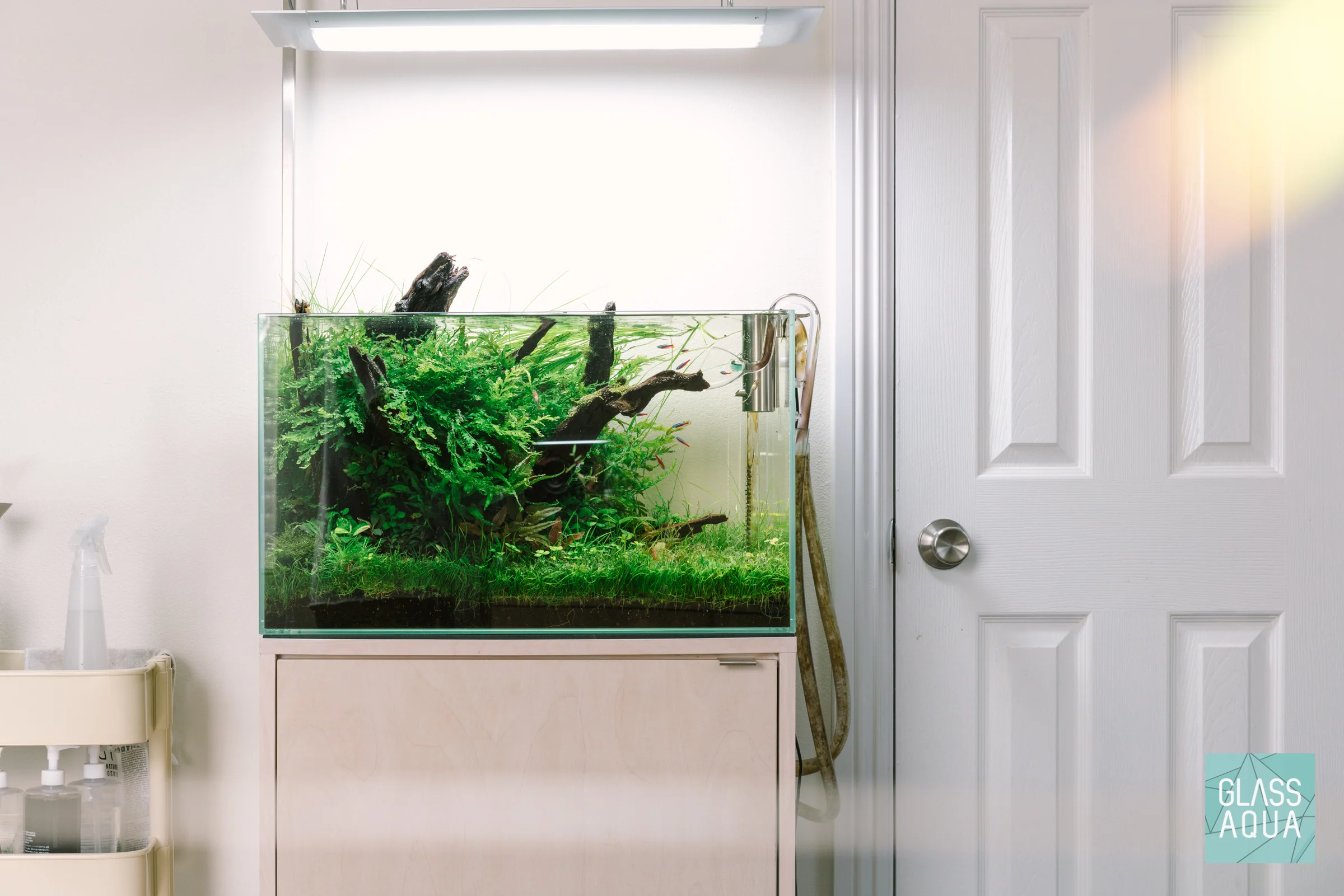 Build Your Own Aquarium Kit - Standard Tank