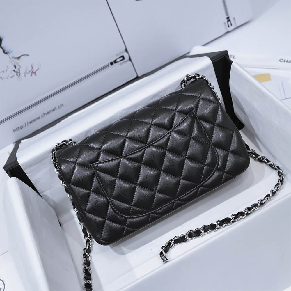 CHANEL MINI FLAP BAG - Top Club