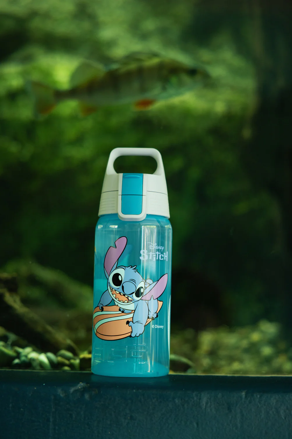 VIVA ONE Disney
