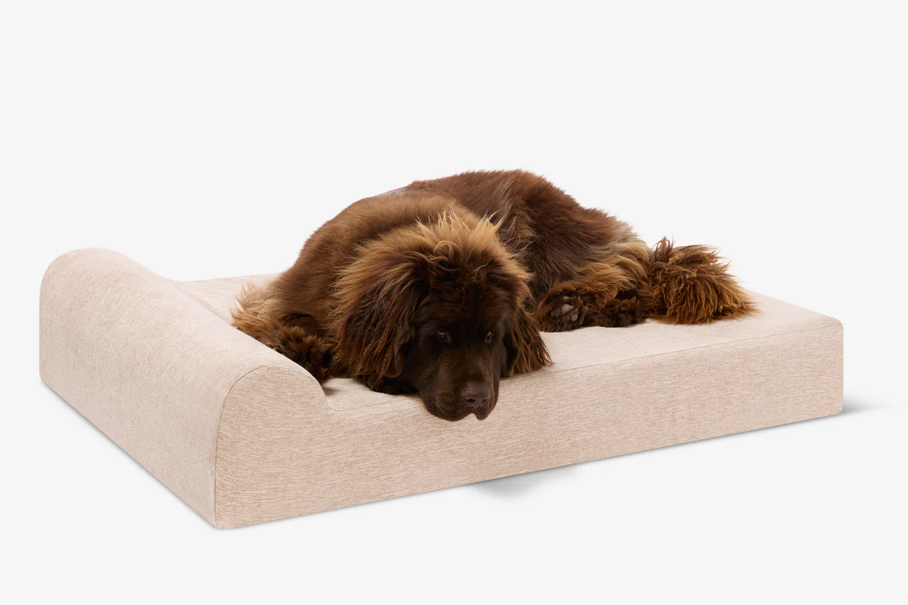 Original Orthopedic Dog Bed - Headrest Edition
