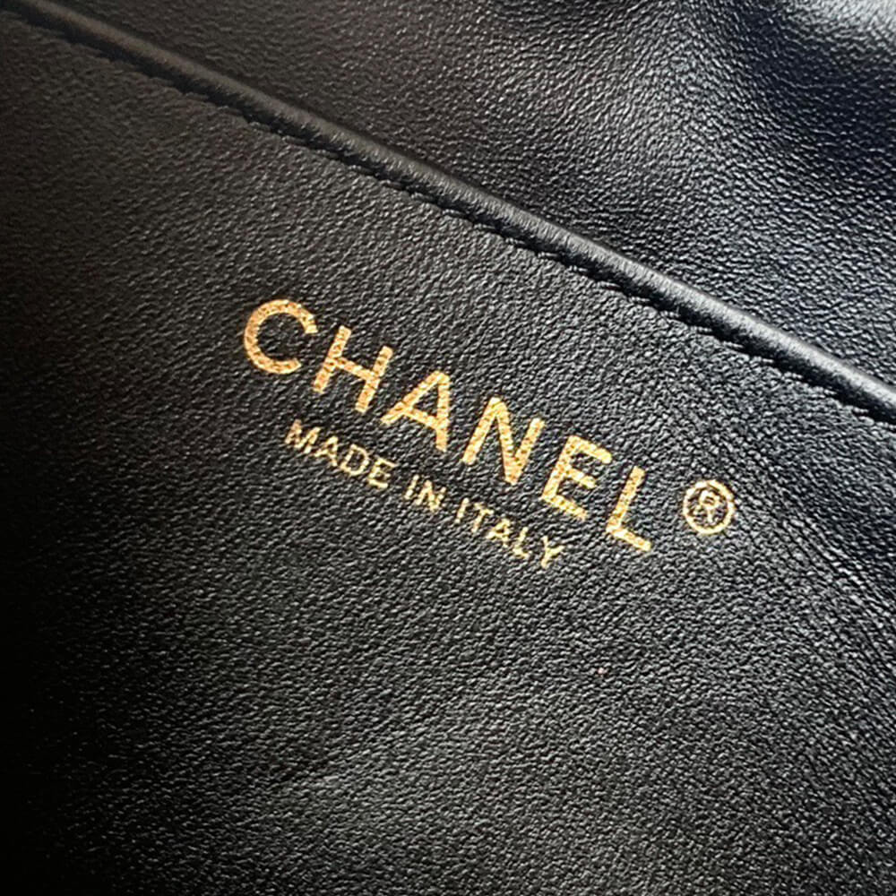 CHANEL Mini Camera Case(high-end grade) - Top Club