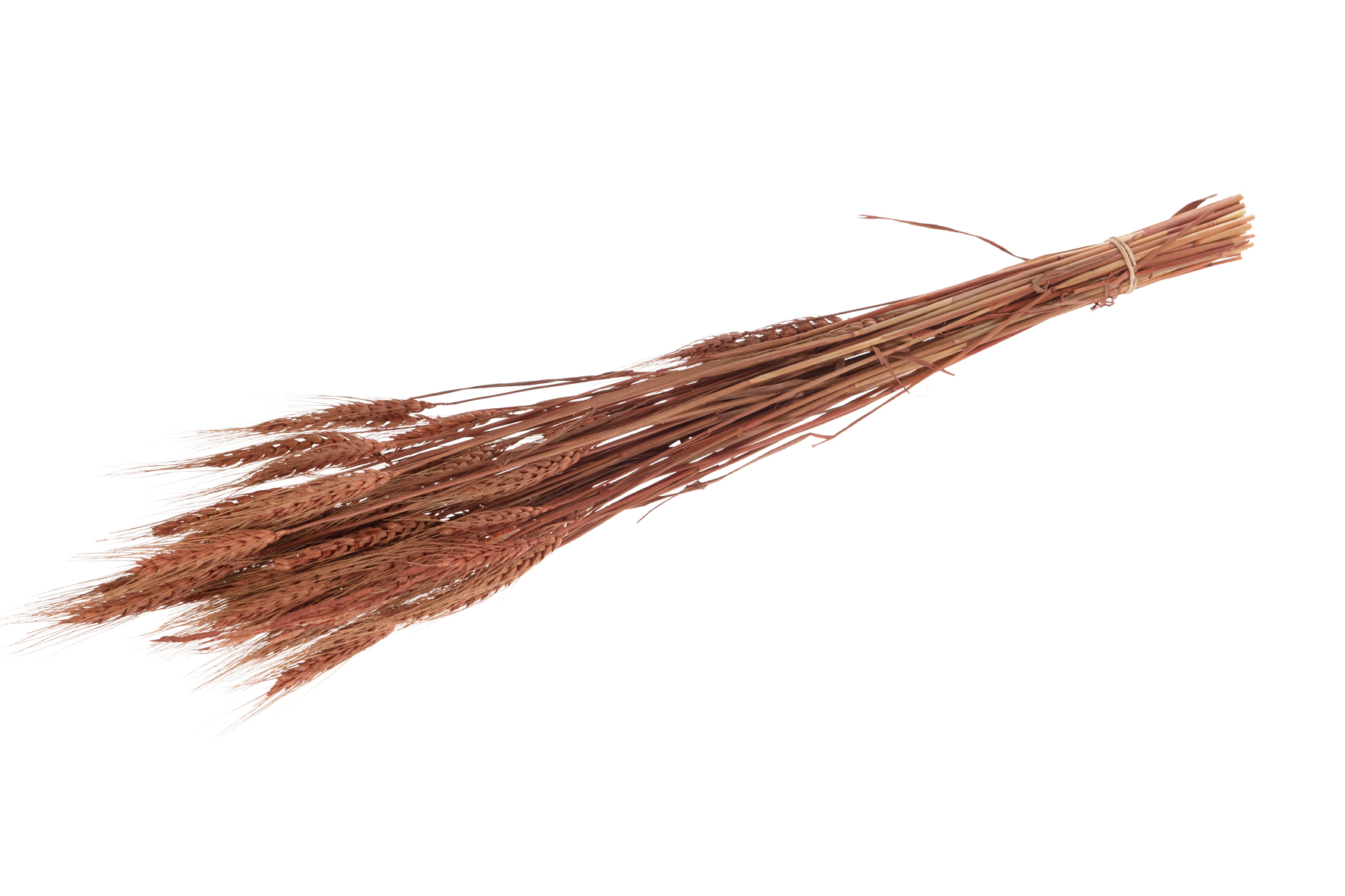Tarwe gras 60-65