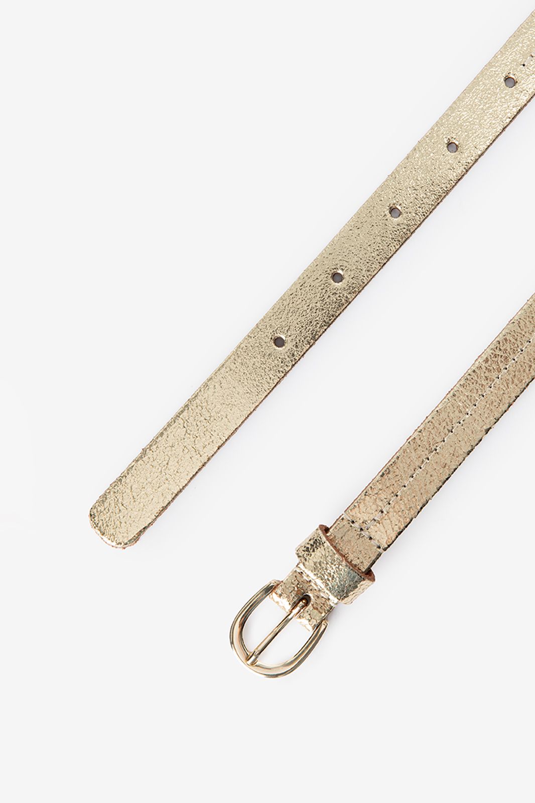 Gouden riem met goudkleurige gesp