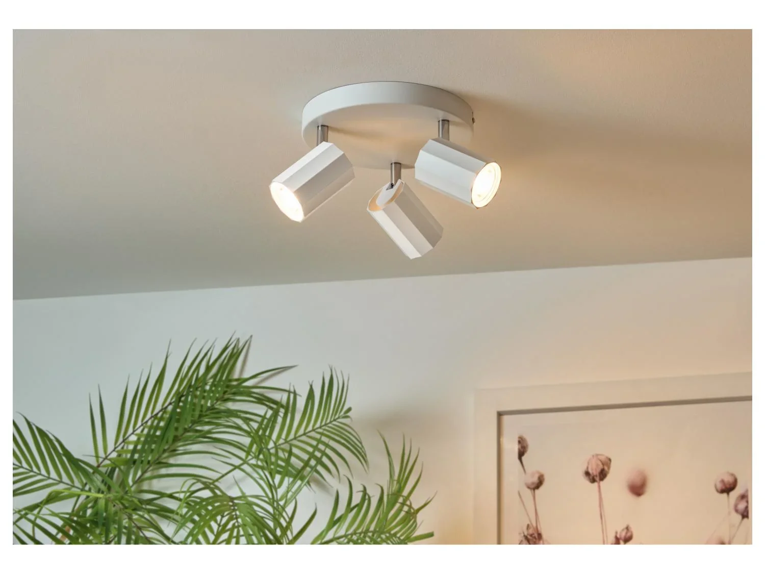 LIVARNO home Plafonnier