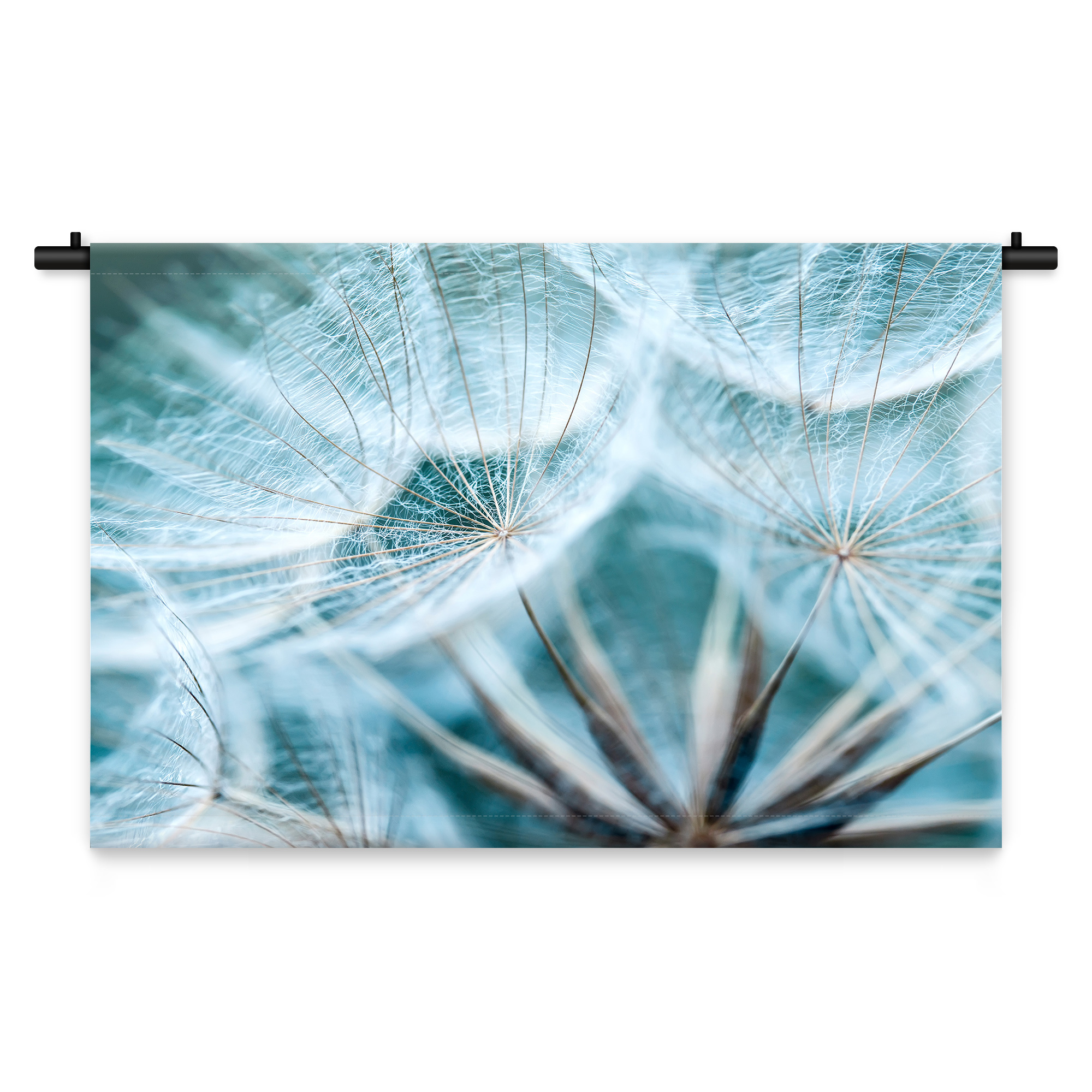 Wandkleed Paardenbloemen van dichtbij 210 x 150 cm