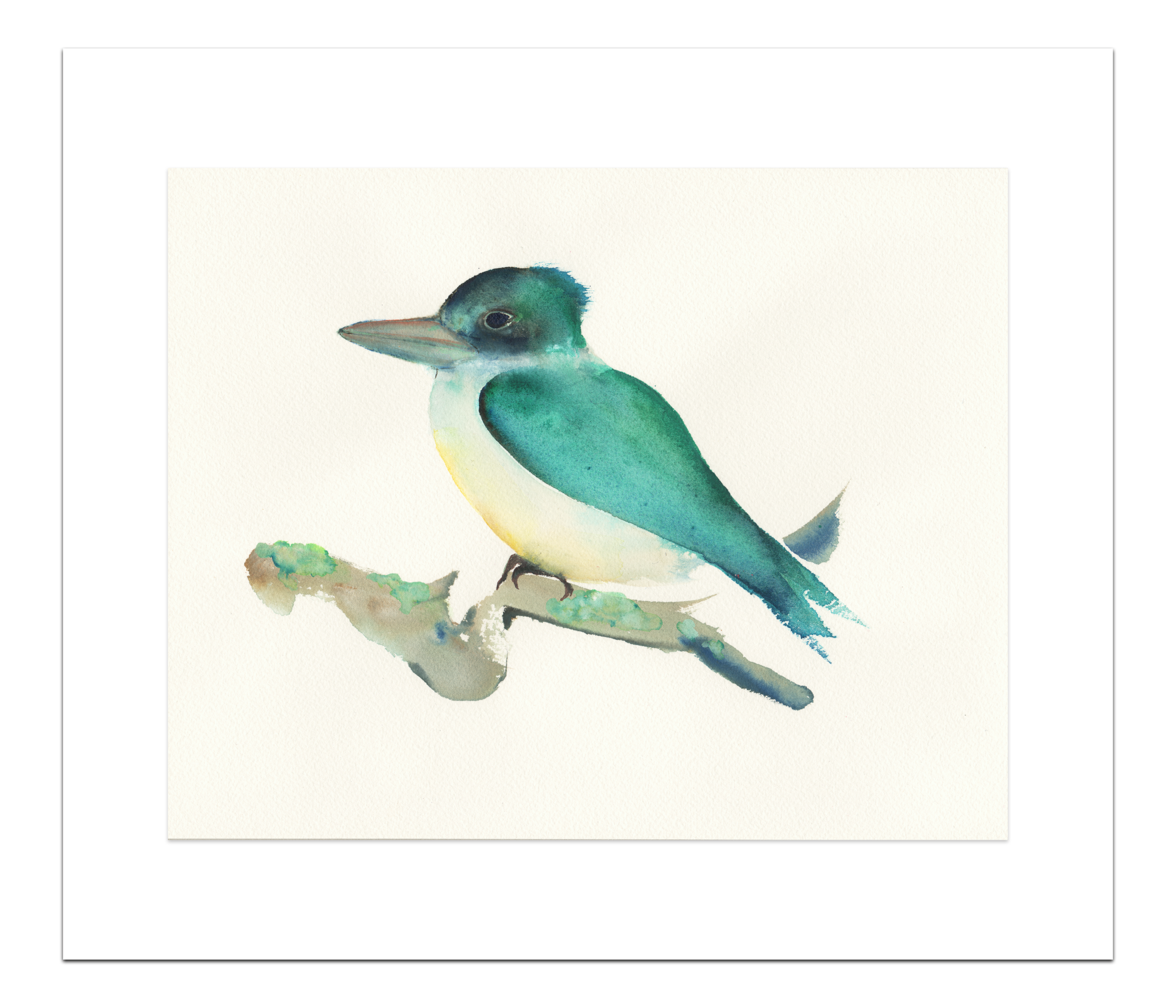 Poster Groene IJsvogel 40 x 50 cm