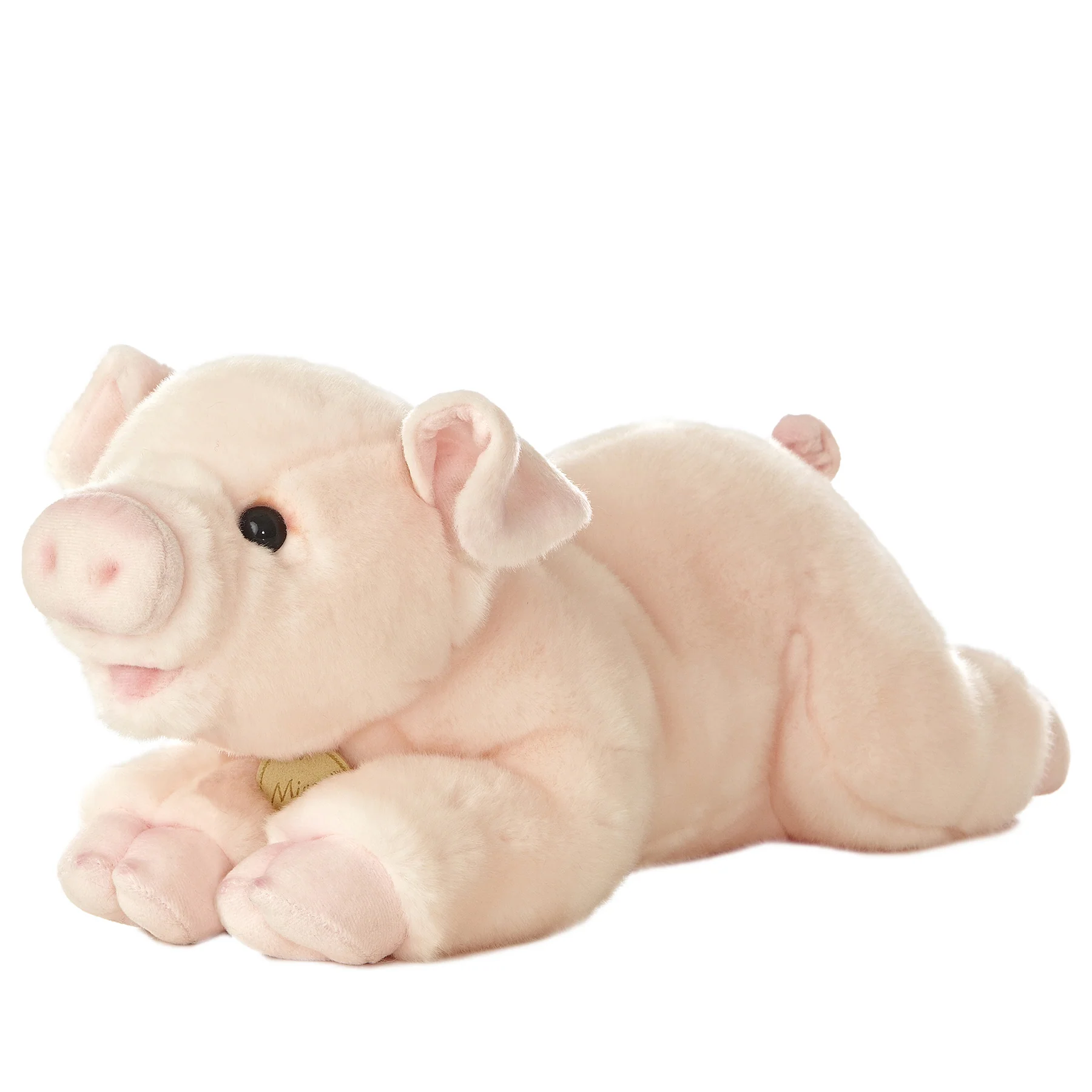 Cute Pig Piglet 16
