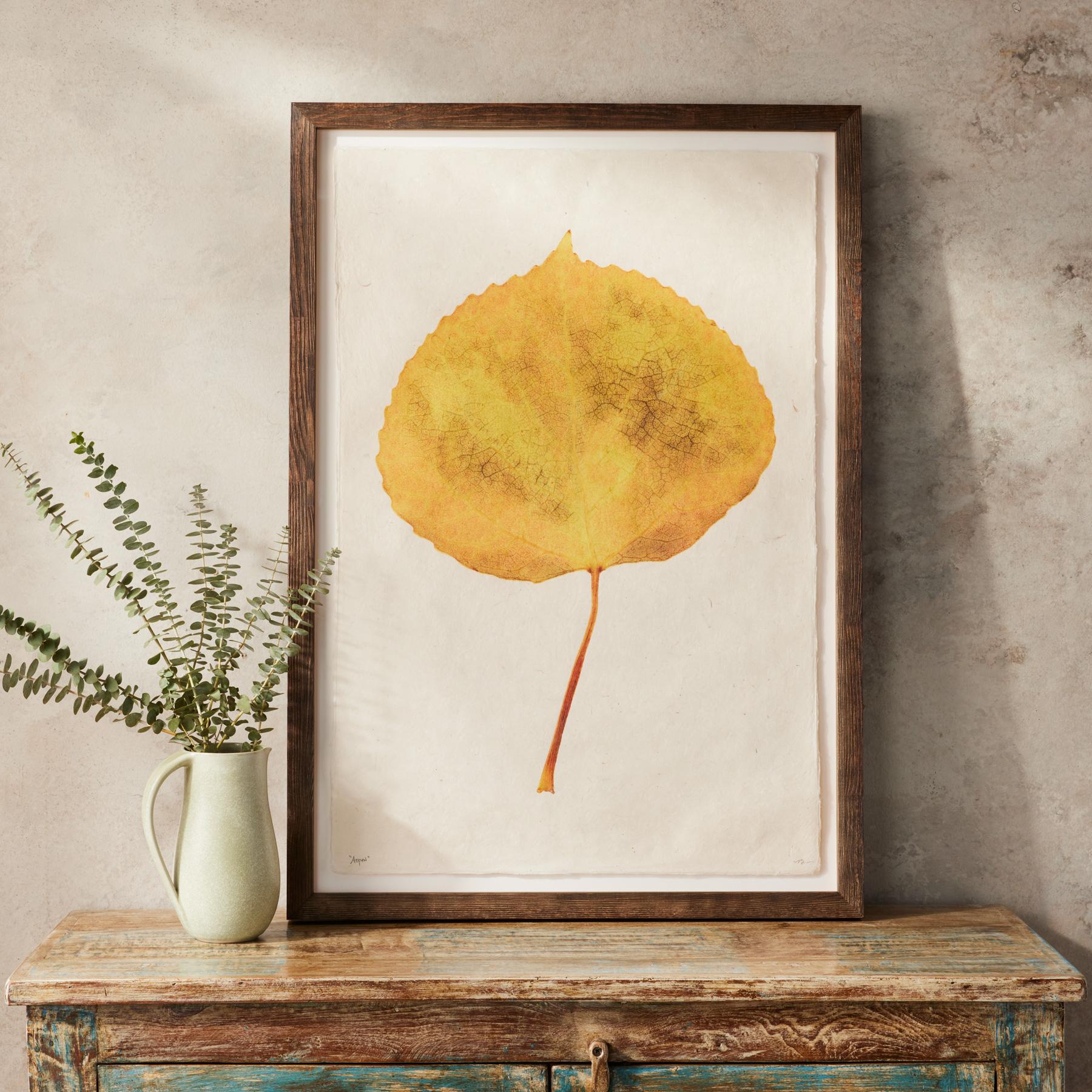 Leaf Studies Print - Sundance Living