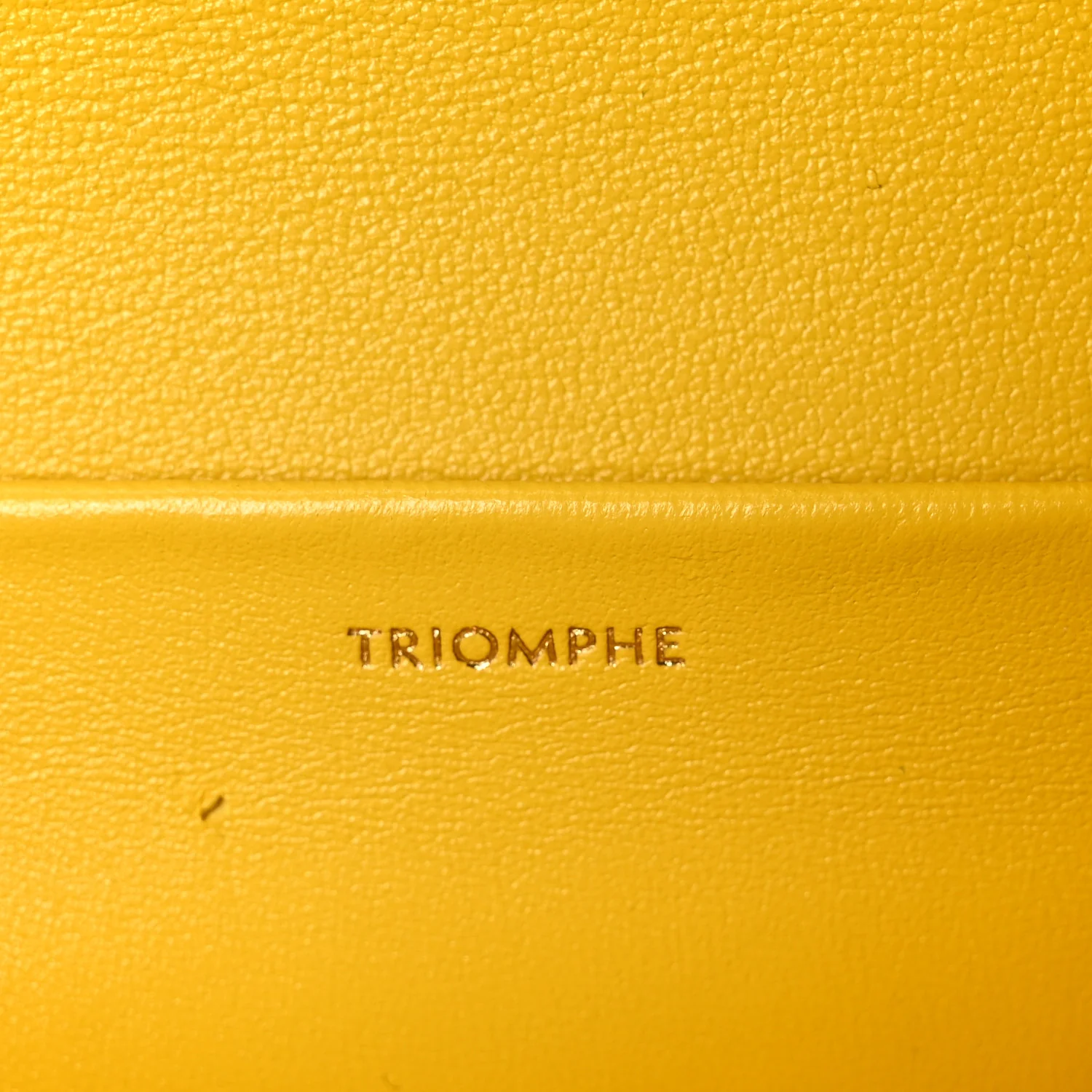 Fluffy Shearling Triomphe Claude Chain Shoulder Bag Yellow - Top Club