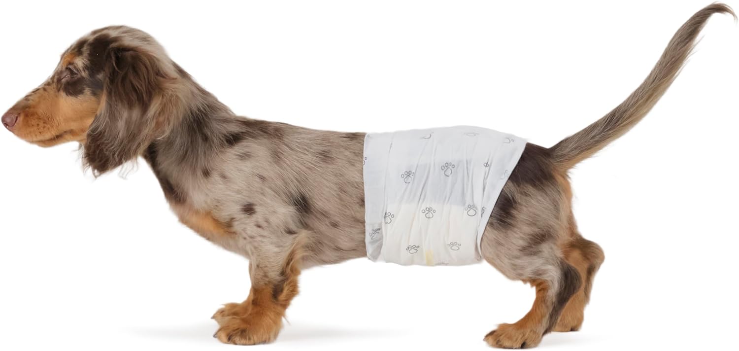 Disposable Male Dog Diapers With Wetness Indicator – Leakproof & Breathable, 50 Pack