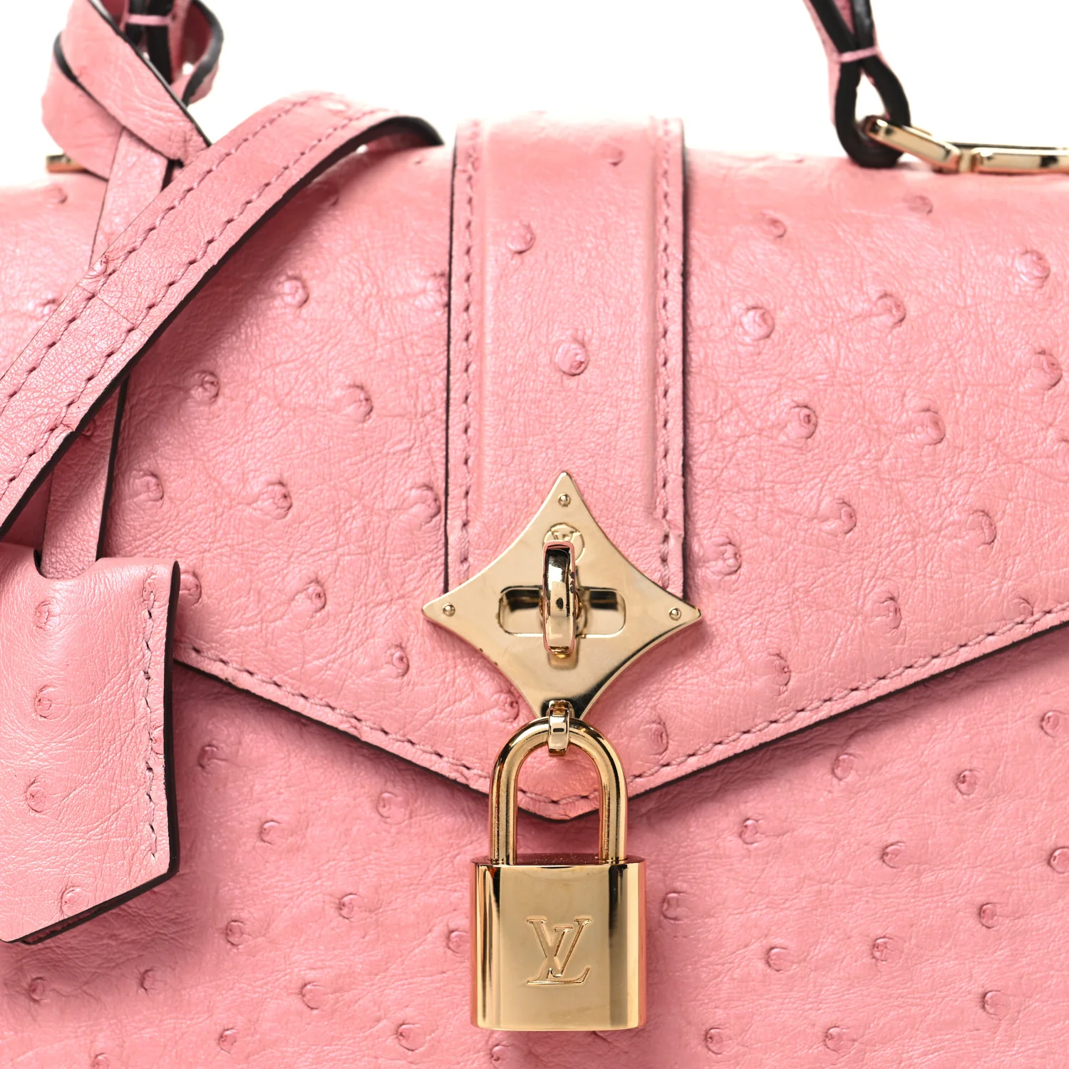 Ostrich Rose Des Vents Mini Pink - Top Club