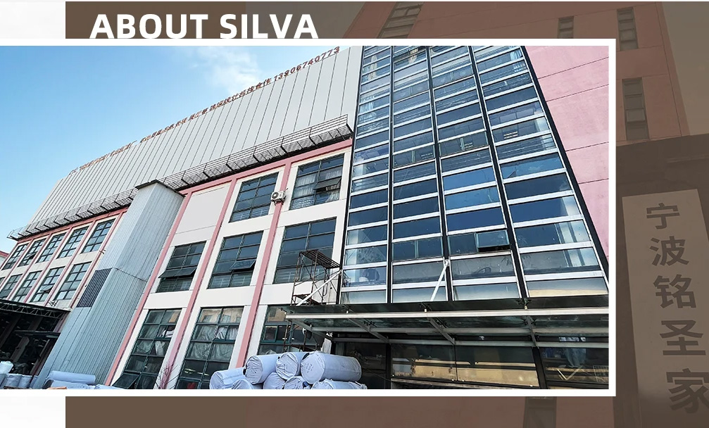 Ningbo Silva Industrial factory