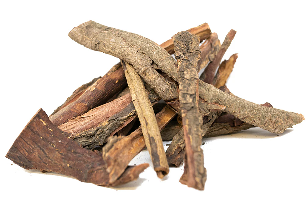 Catappa Bark
