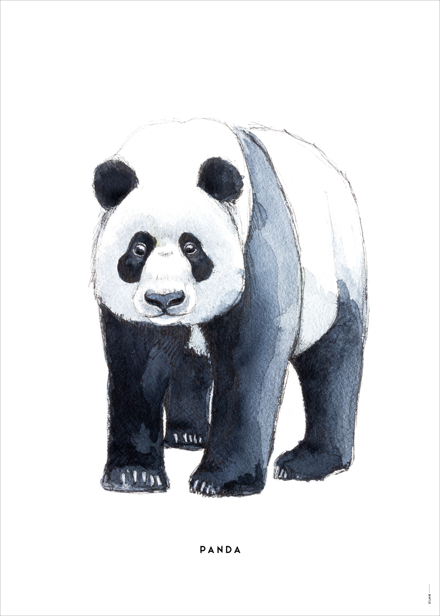 Poster 50x70 Panda