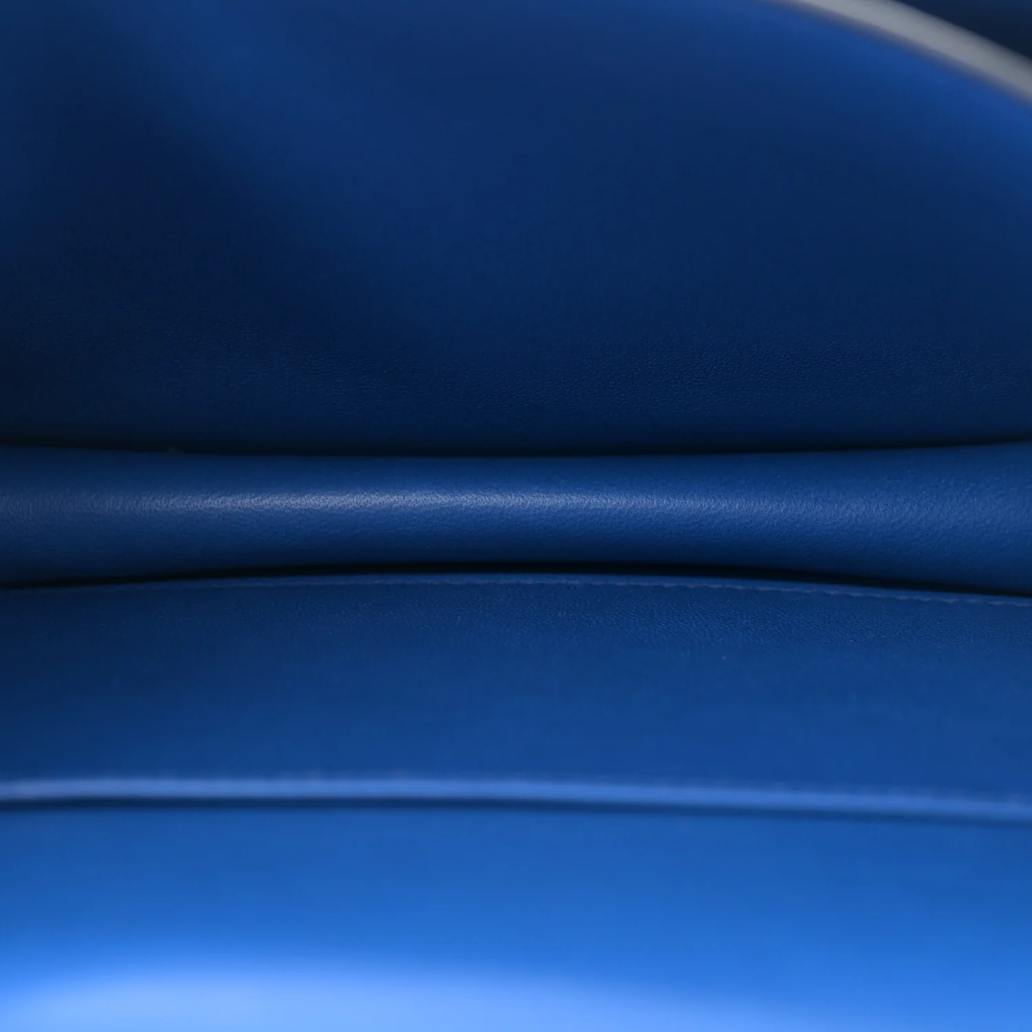 Chevre Mysore Constance 18 Bleu France - Top Club