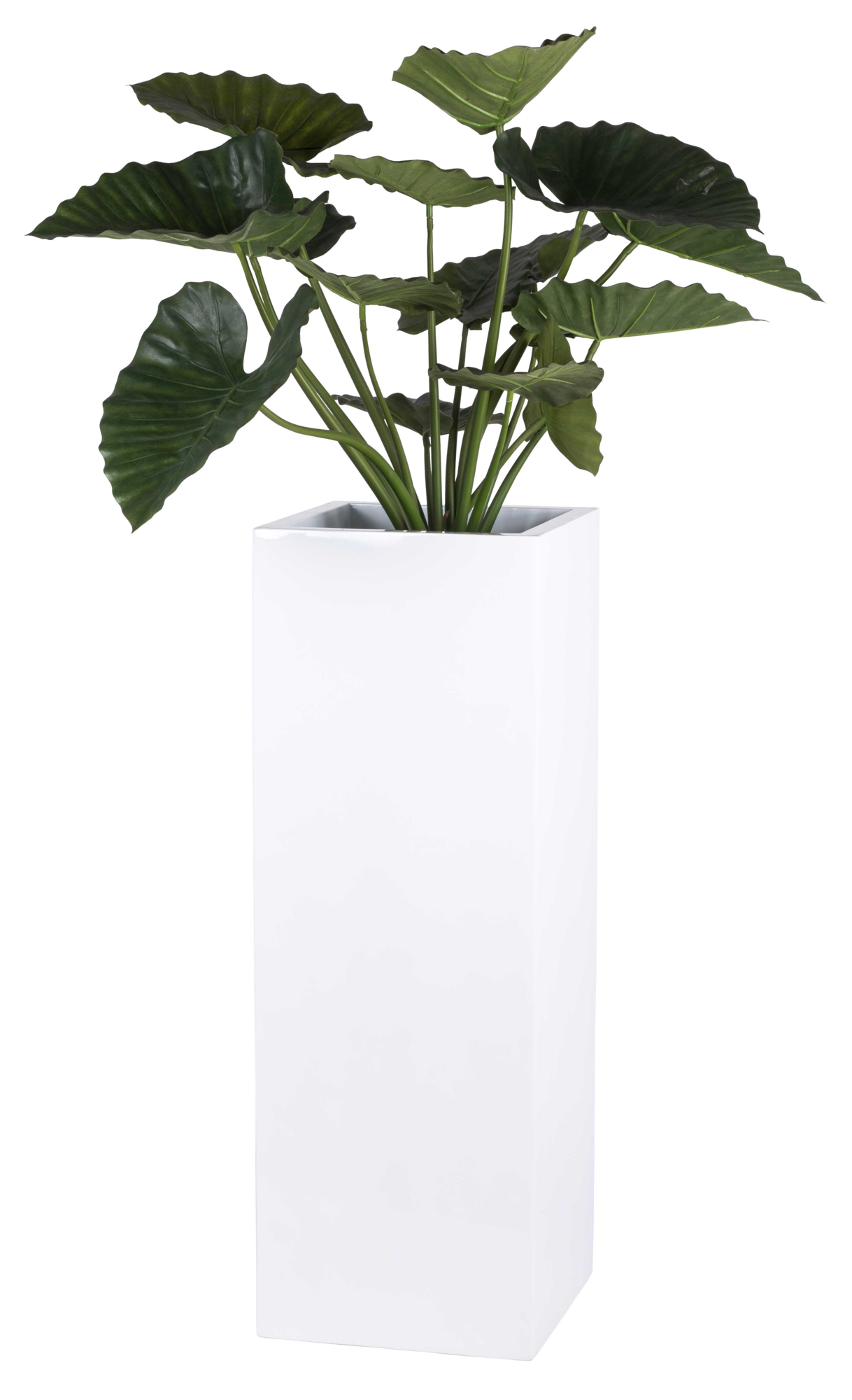 Plantenpot Pearl shiny white L35 x B35 x H100cm