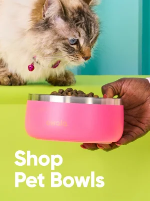 Shop Pet Bowls