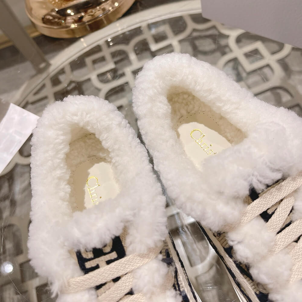 Walk n Dior Platform Sneaker - Top Club