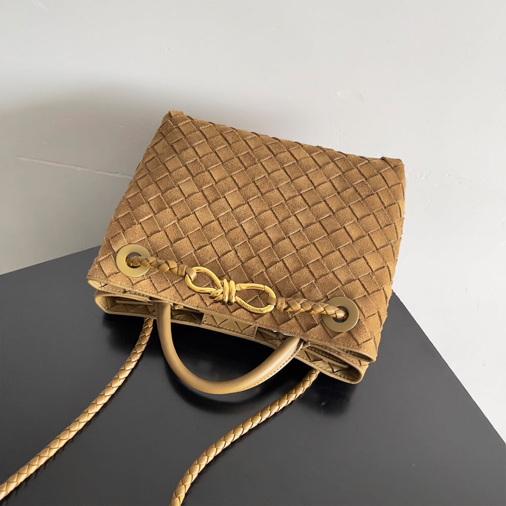 Bottega Veneta Small Andiamo - Top Club