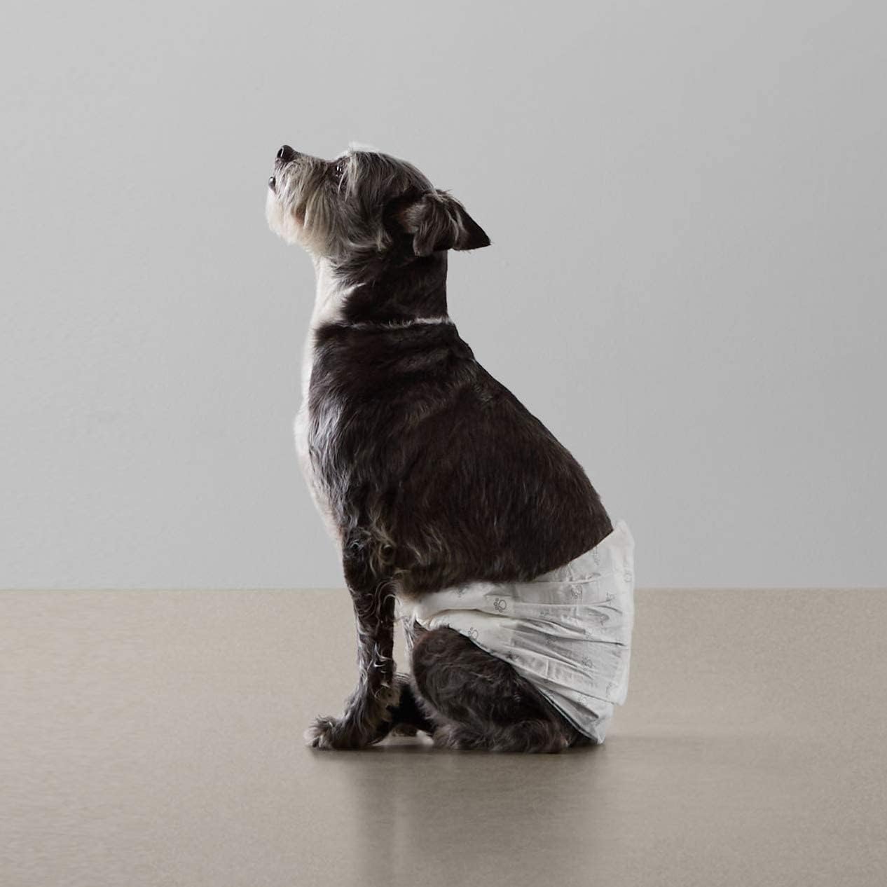 Disposable Male Dog Diapers With Wetness Indicator – Leakproof & Breathable, 50 Pack