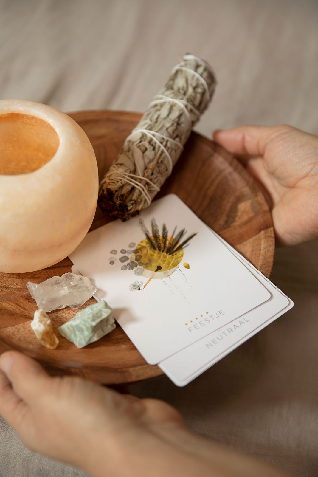 Bundel salie bladeren