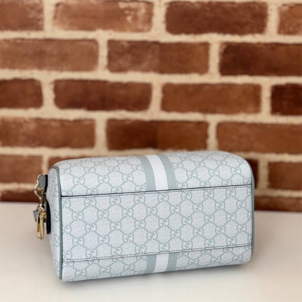 GUCCI Ophidia small top handle bag - Top Club