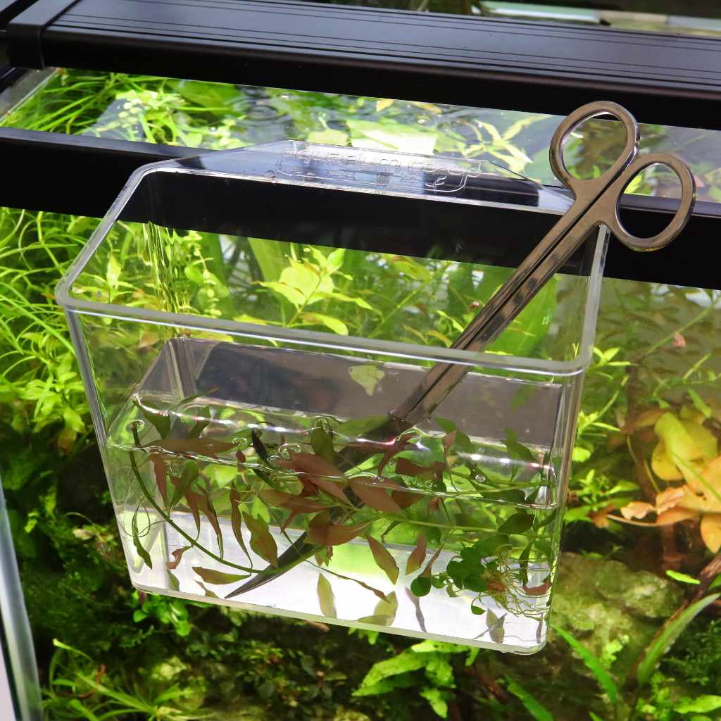 Aquarium Co-Op Unbreakable Catch Cup