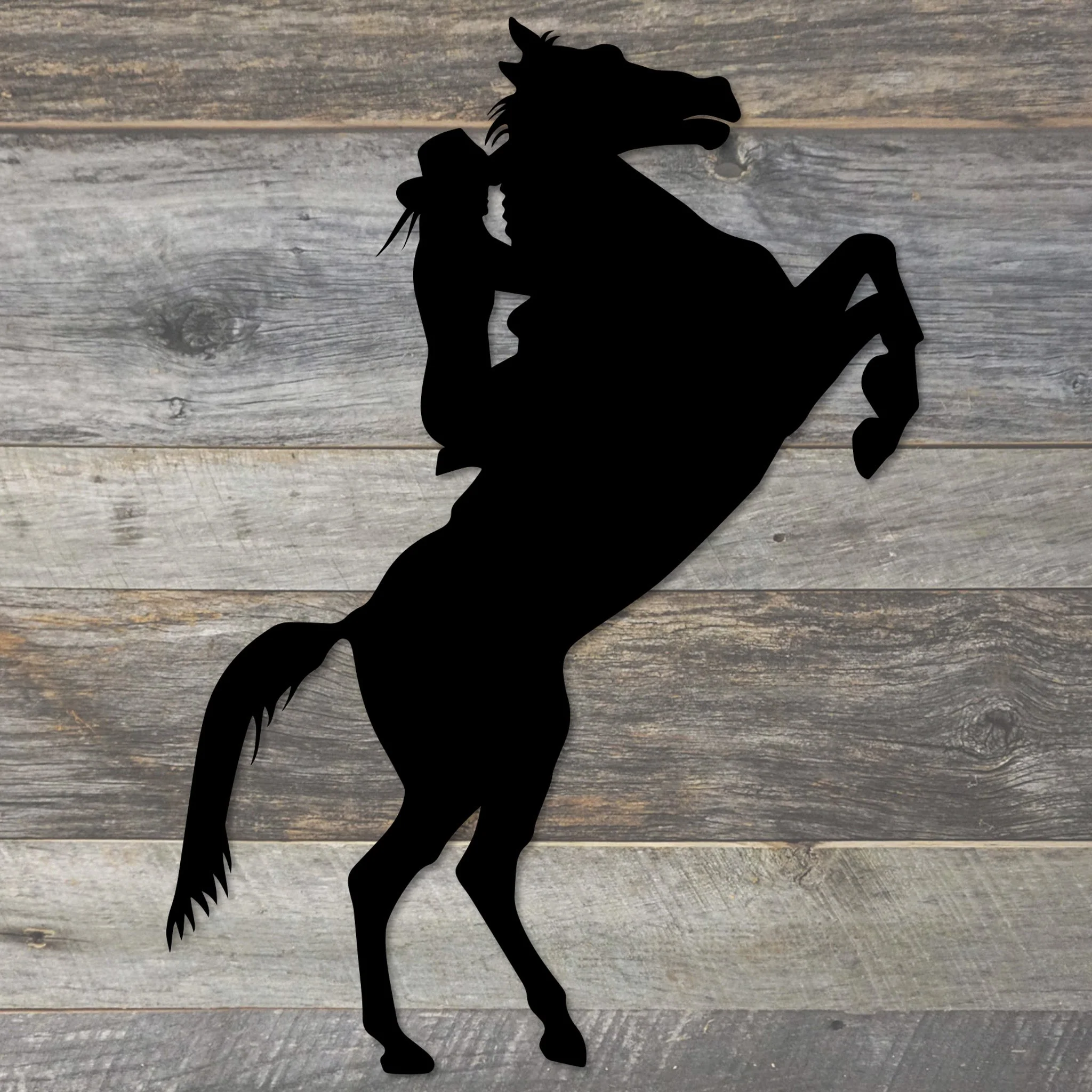 Cowgirl Metal Wall Art - Alvarez Pro Painting LLC