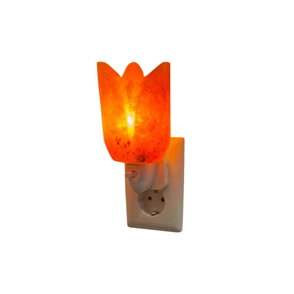 Nachtlamp Tulp zoutsteen