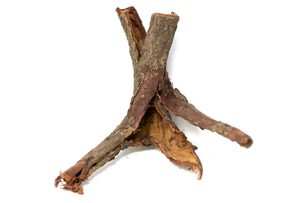 Catappa Bark