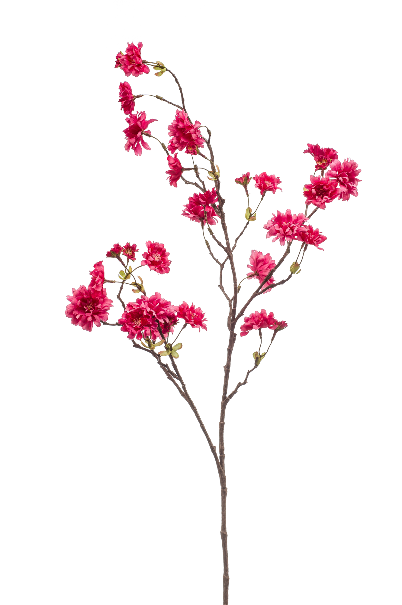 Cherry blossom spray fuchsia