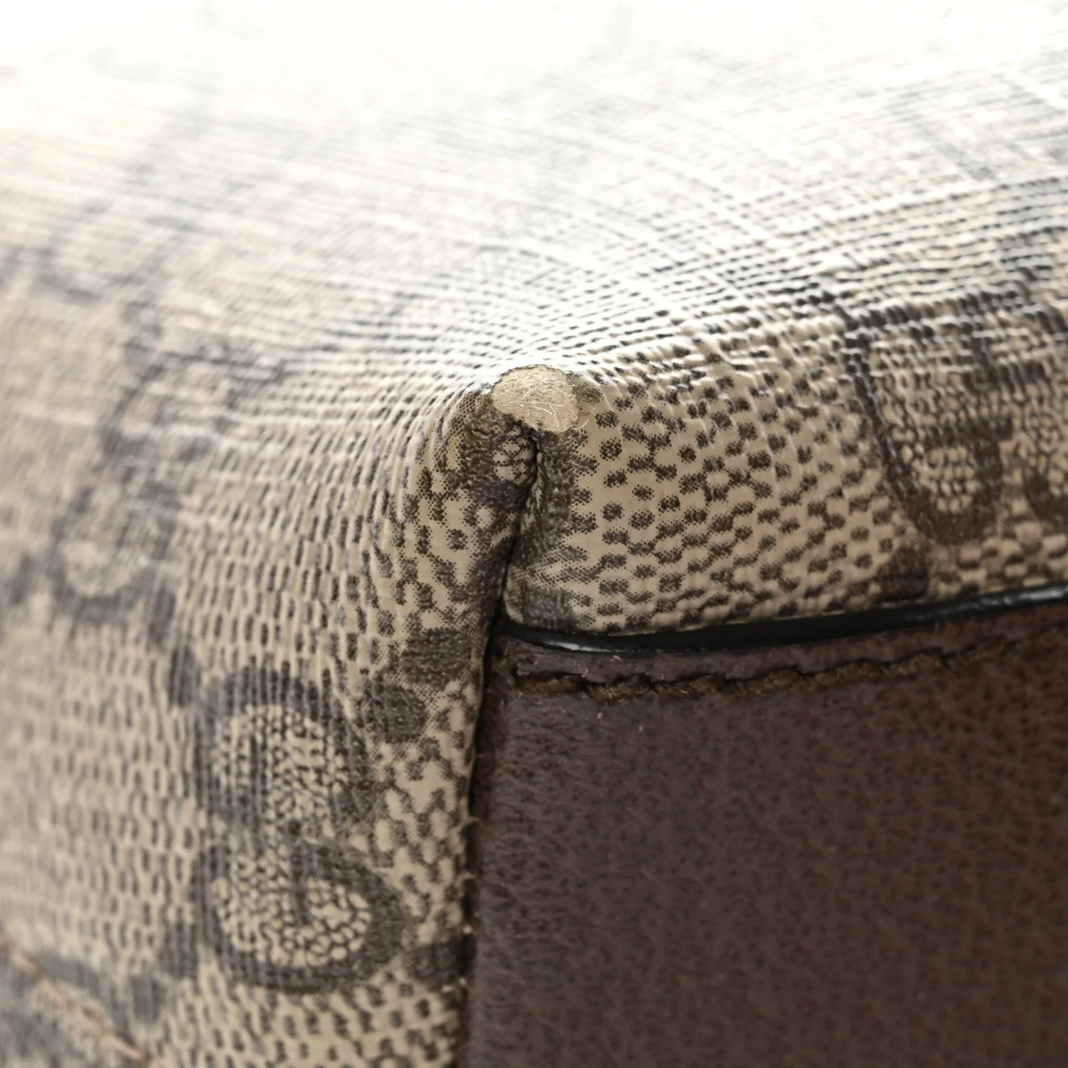 GG Supreme Monogram Textured Dollar Calfskin Web Small Ophidia Dome Shoulder Bag Beige Ebony New Acero - Top Club