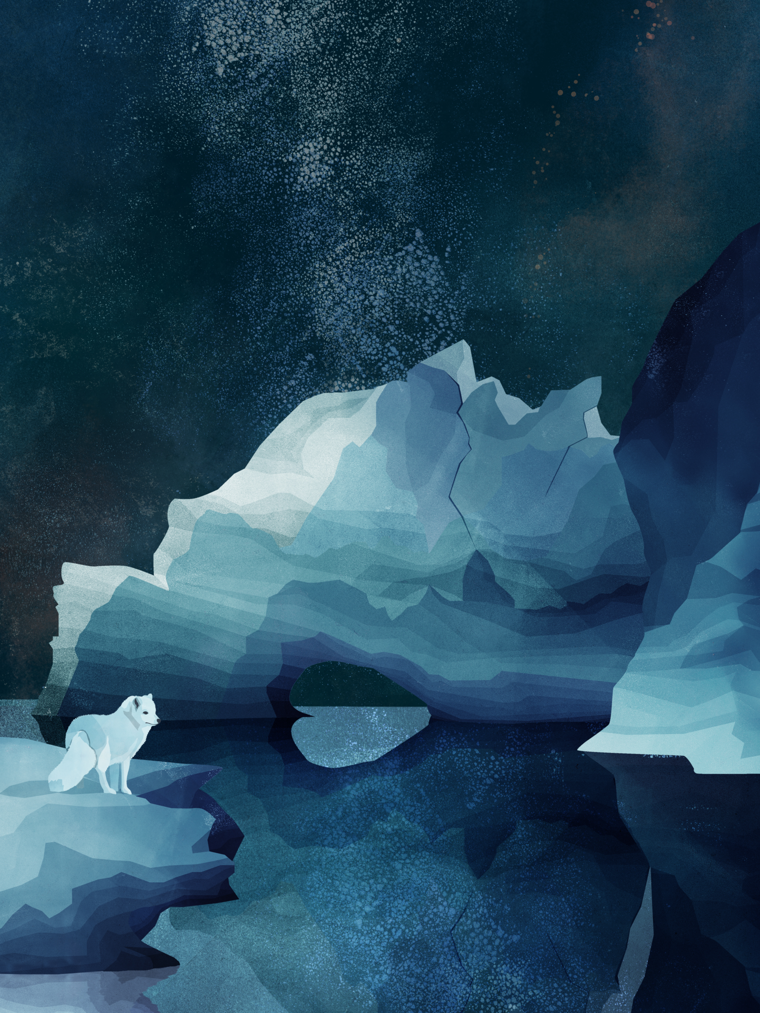 Poster Arctic Fox 30 x 40 cm