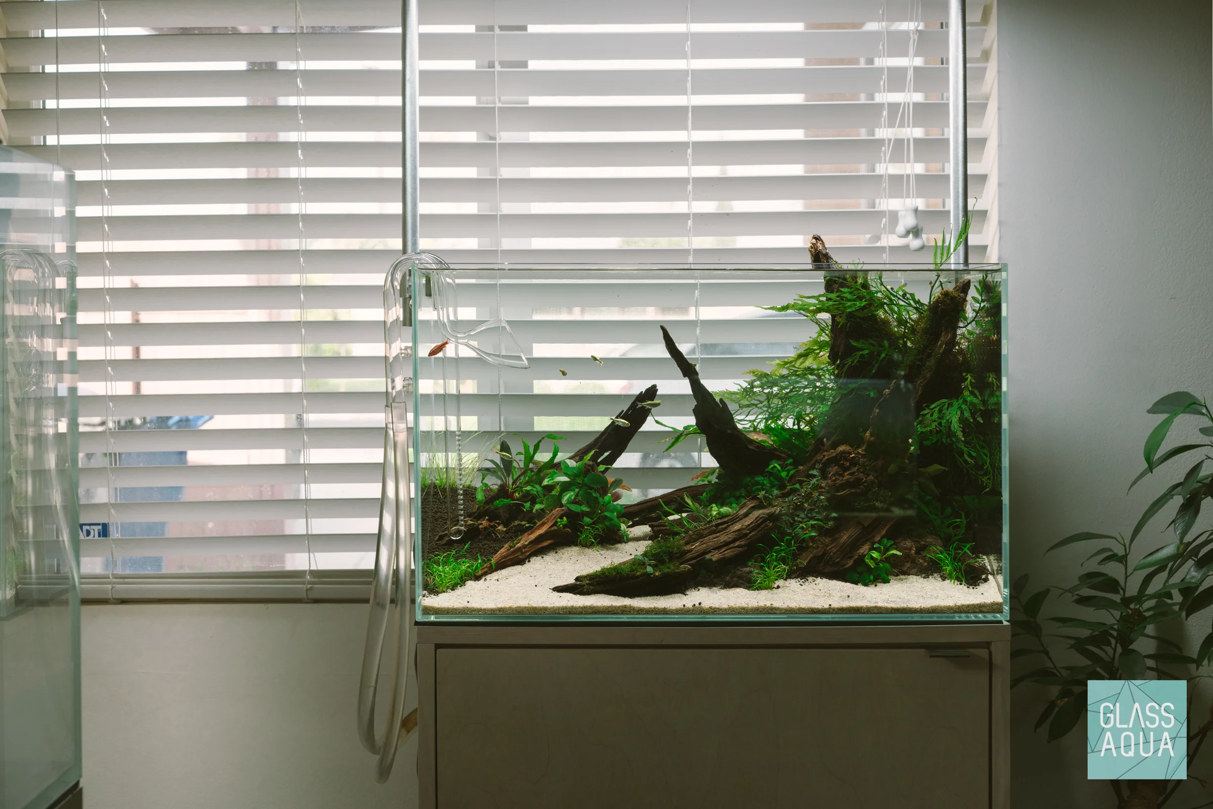 Build Your Own Aquarium Kit - Standard Tank