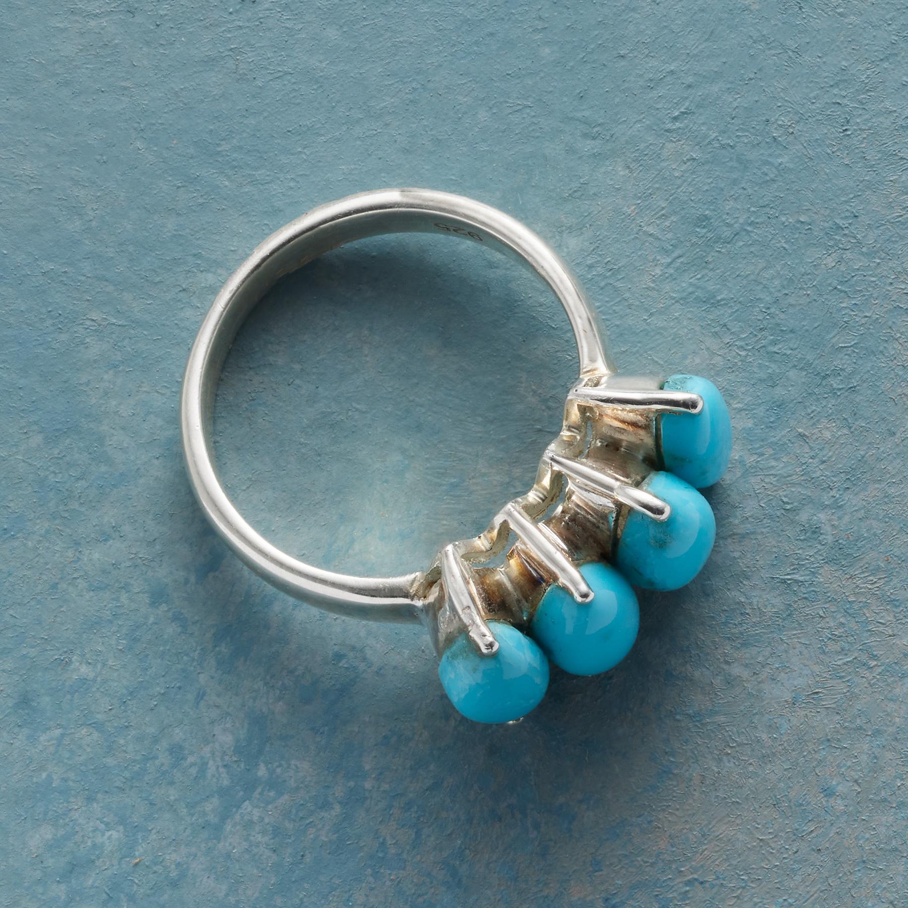 Turquoise Pod Ring - Sundance Living