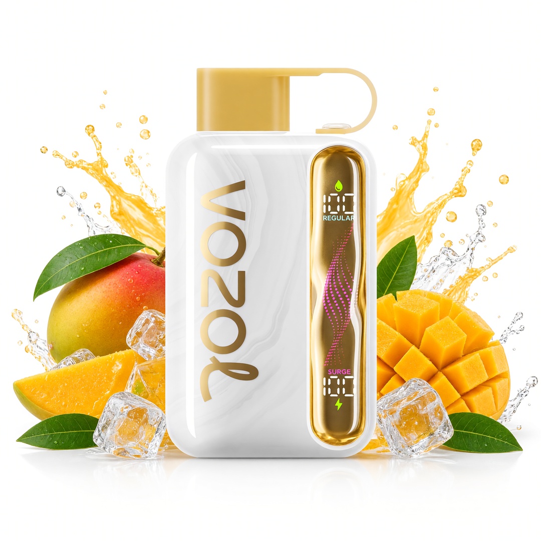 VOZOL STAR 40K cigarette électronique jetable (toutes les saveurs)