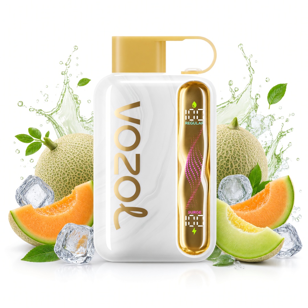 VOZOL STAR 40K cigarette électronique jetable (toutes les saveurs)