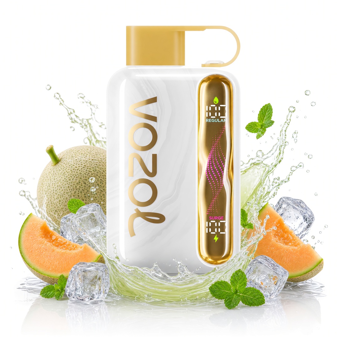 VOZOL STAR 40K cigarette électronique jetable (toutes les saveurs)